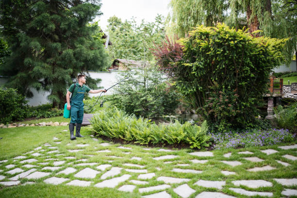 Trusted St Helen, MI Pest Control Experts