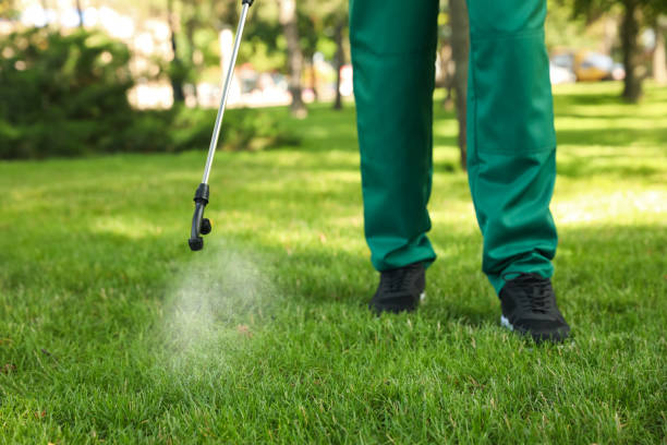 Best Wasp Removal Services  in St Helen, MI