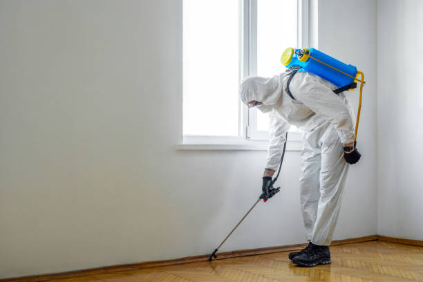 Best Bed Bug Extermination  in St Helen, MI