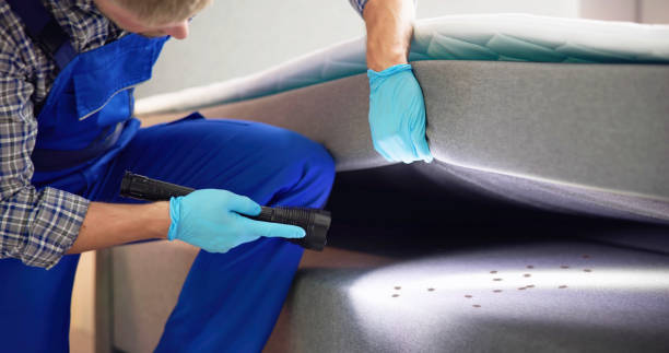Best Best Pest Control Companies  in St Helen, MI