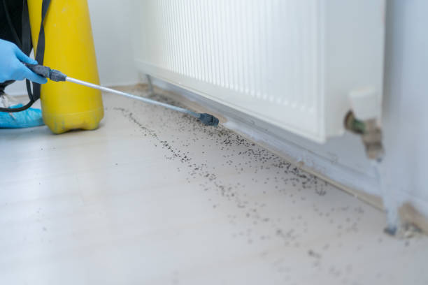 Best Pest Inspection Near Me  in St Helen, MI