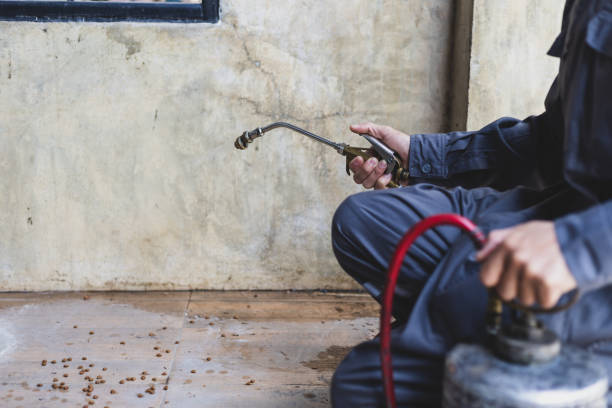 Best Best Pest Control Companies  in St Helen, MI